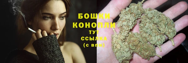 гидропоника Белокуриха