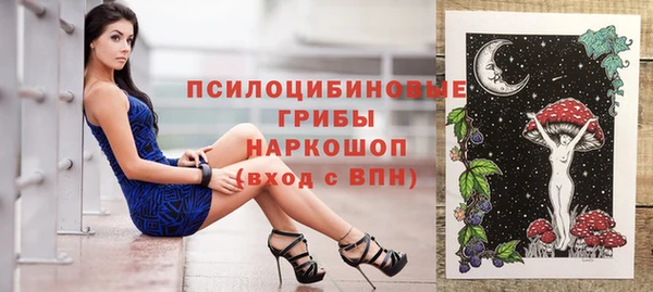 гидропоника Белокуриха